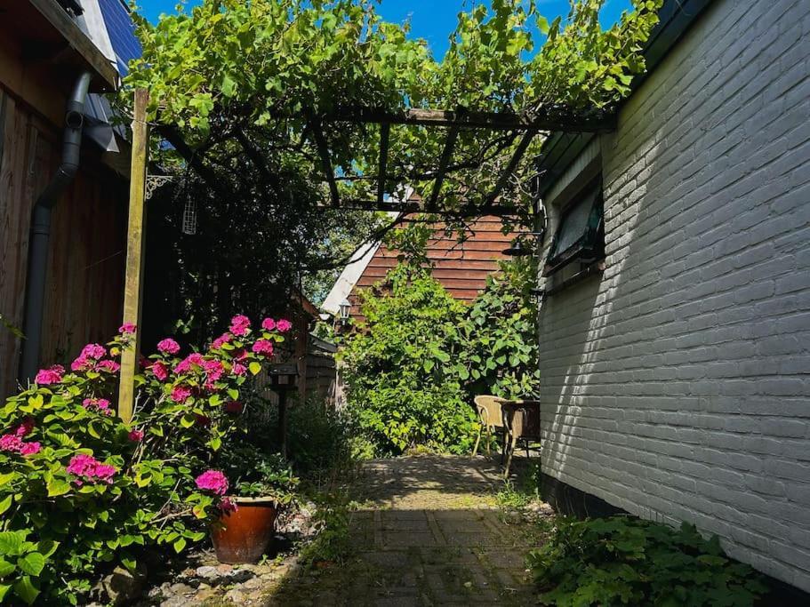 Onder De Kastanje! Villa Koedijk Bagian luar foto